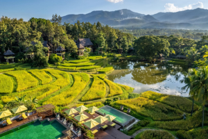 泰國 清邁-四季酒店渡假村