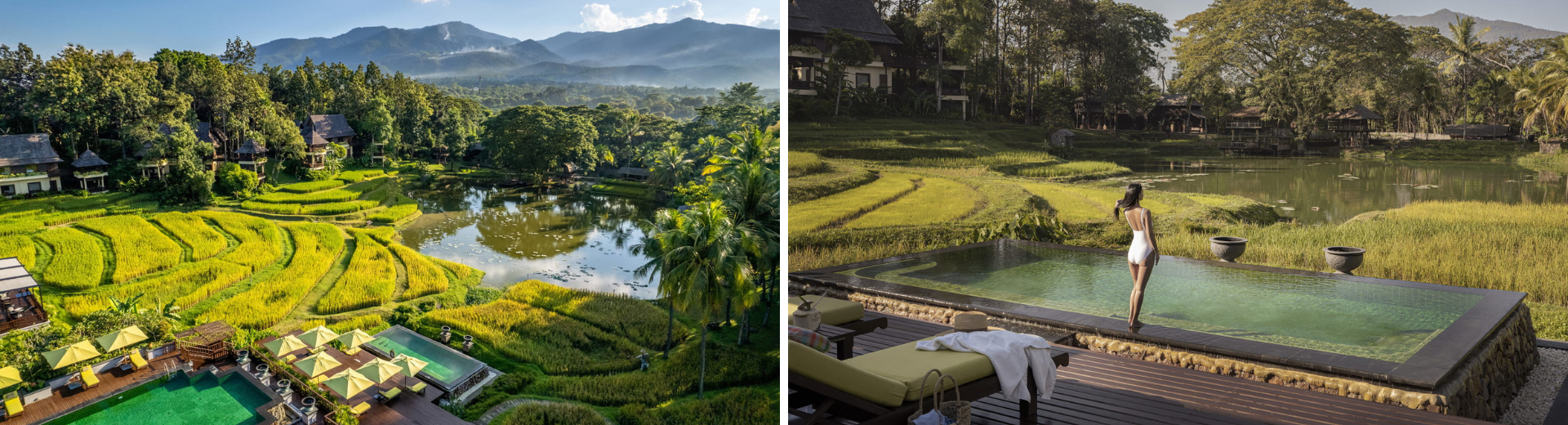 泰國 清邁-四季酒店渡假村