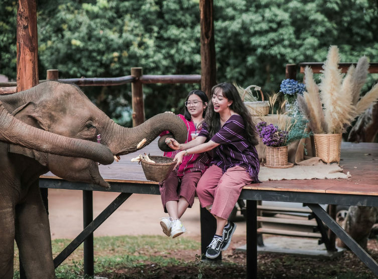 台北→清邁→Baan Kang Wat 手做藝術村→大象互動咖啡廳+飲品一杯→尼曼商圈自由逛街→人氣烤山尼曼~品藏在地泰北咖哩麵